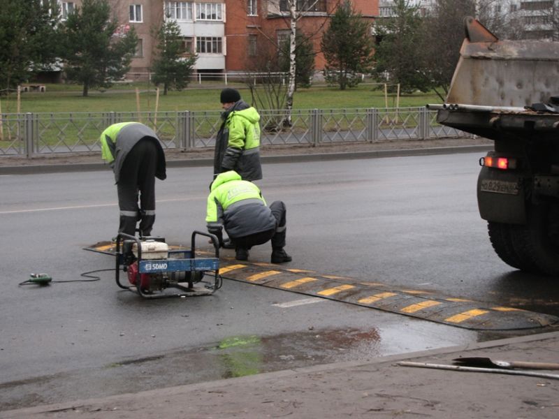Искусственные неровности появятся на восьми дорогах регионального значения в Псковской области