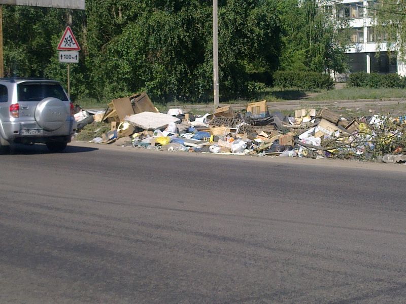 Воронежские коммунальщики не справляются с вывозом мусора с городских улиц