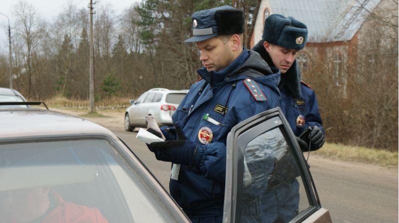 В ходе профилактической операции МВД в Псковской области были обнаружены 19 угнанных автомобилей