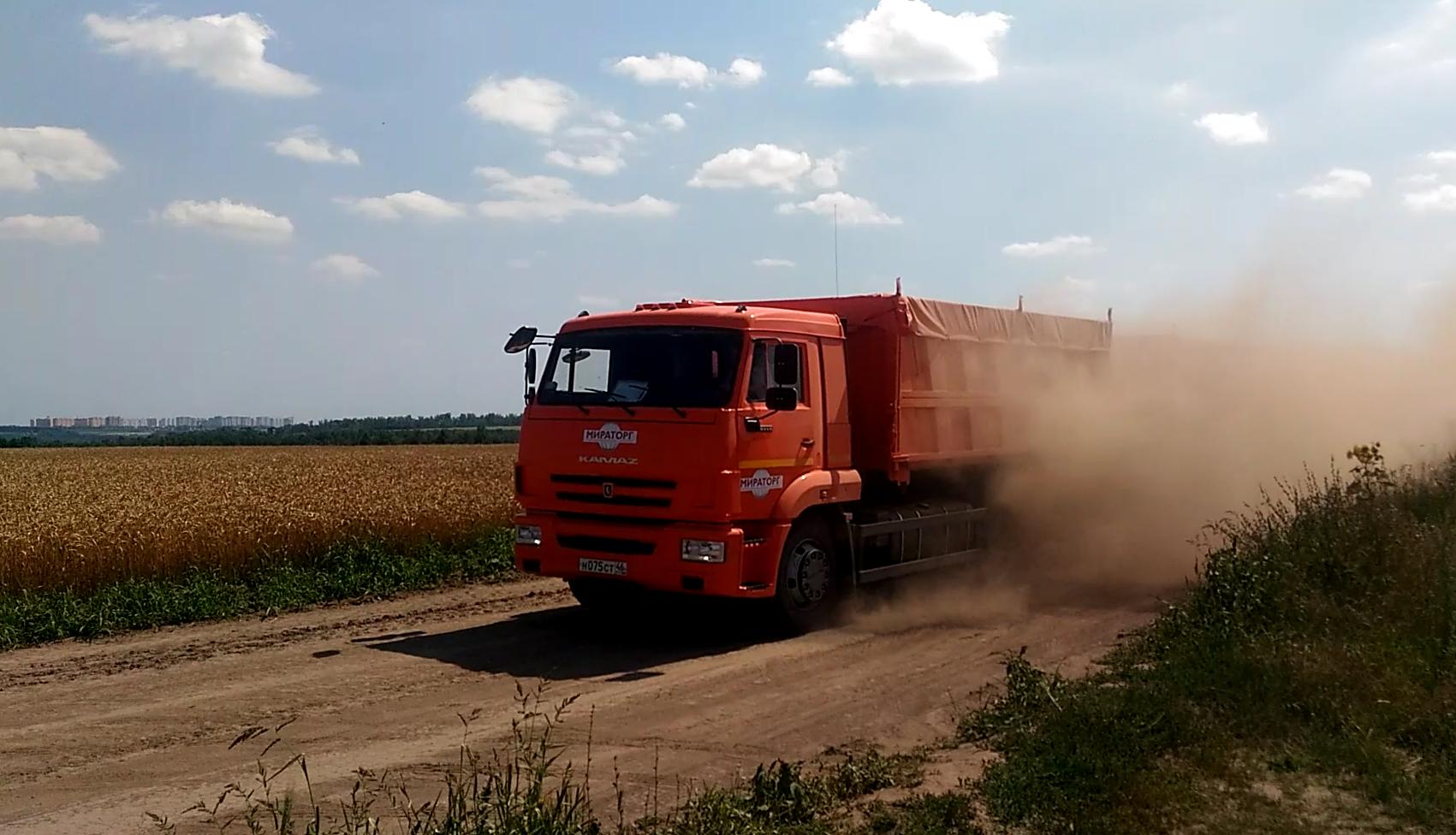 Активисты ОНФ требуют закрыть дорогу в деревне Верхняя Медведица Курской области