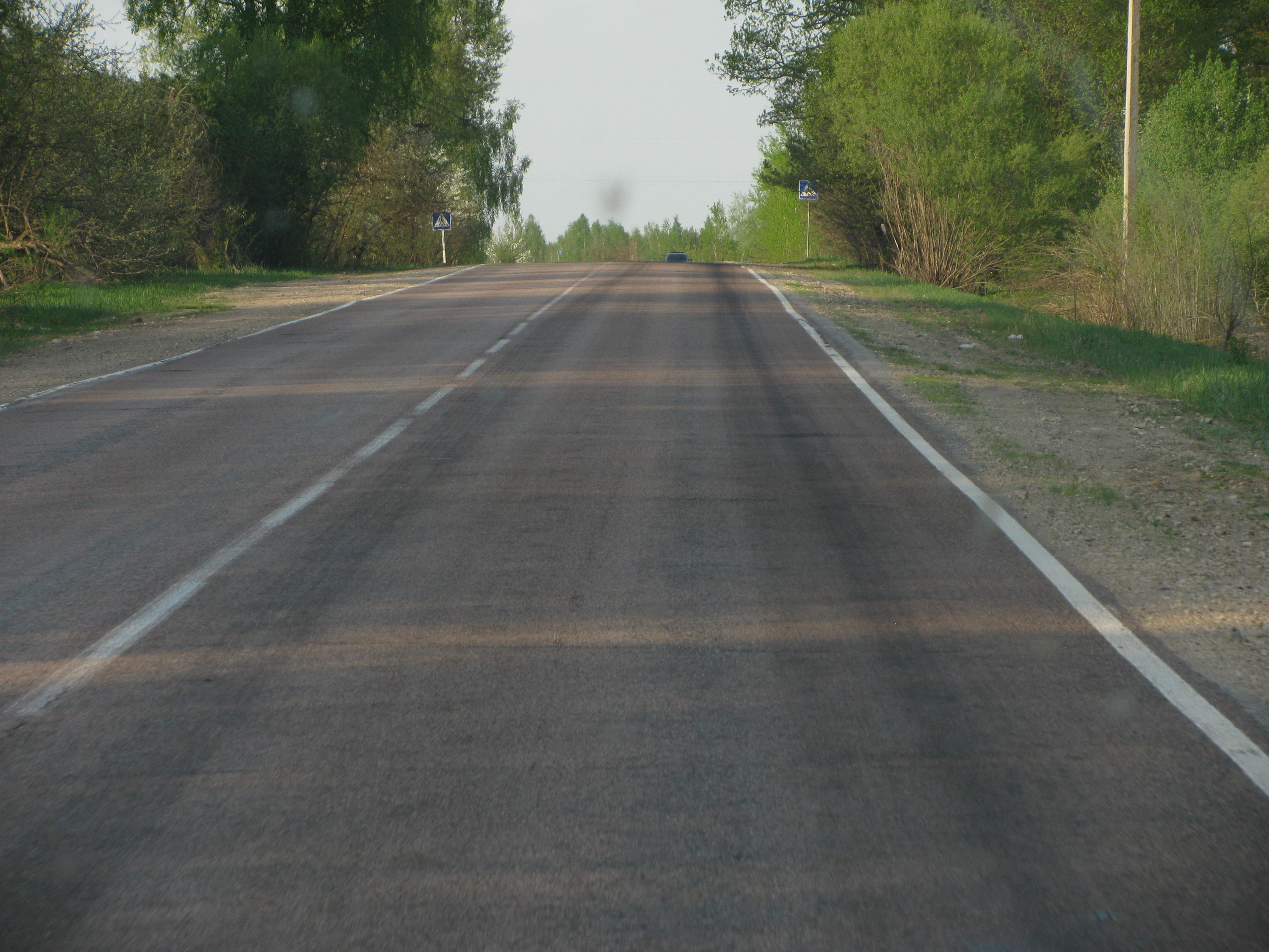 108 км региональных дорог планируется реконструировать в Псковской области в этом году