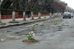 В ямы на украинских дорогах посадили тюльпаны