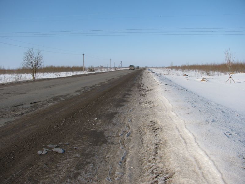 Искусственные неровности планируют установить на автодороге Псков-Родина