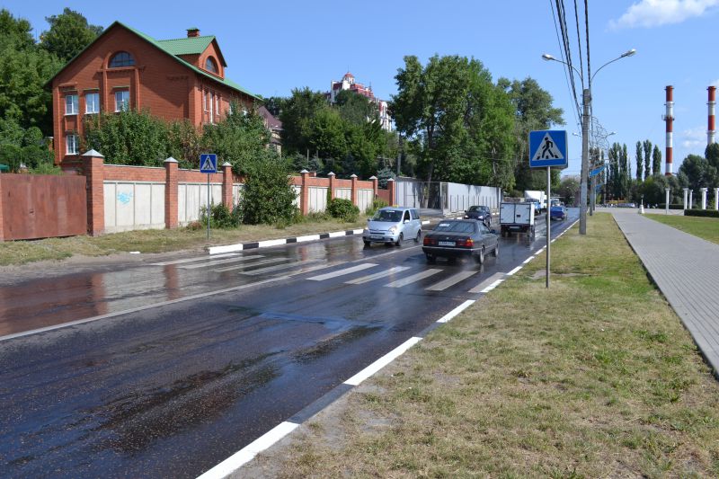 В Воронеже проинспектировали пешеходные переходы вблизи школ и детсадов