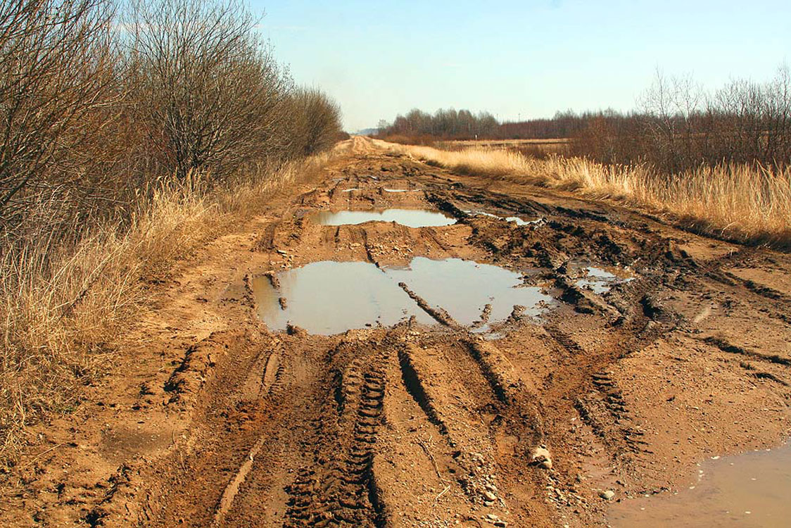 В четырех районах Псковской области отремонтируют сельские дороги