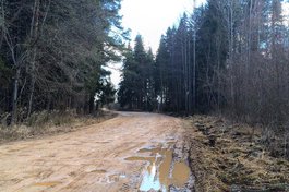 «Псковавтодор» отремонтирует в этом году порядка 100 км дорог