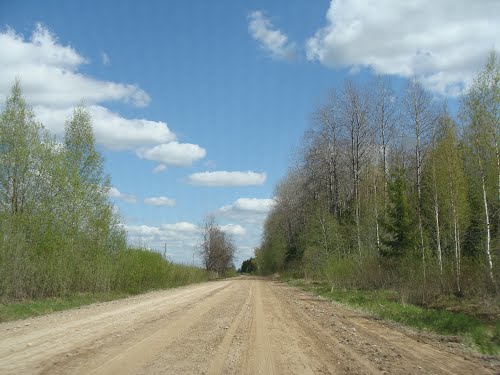 В следующем году планируется начать реконструкцию дороги Лавры - граница с Латвийской Республикой в Печорском районе