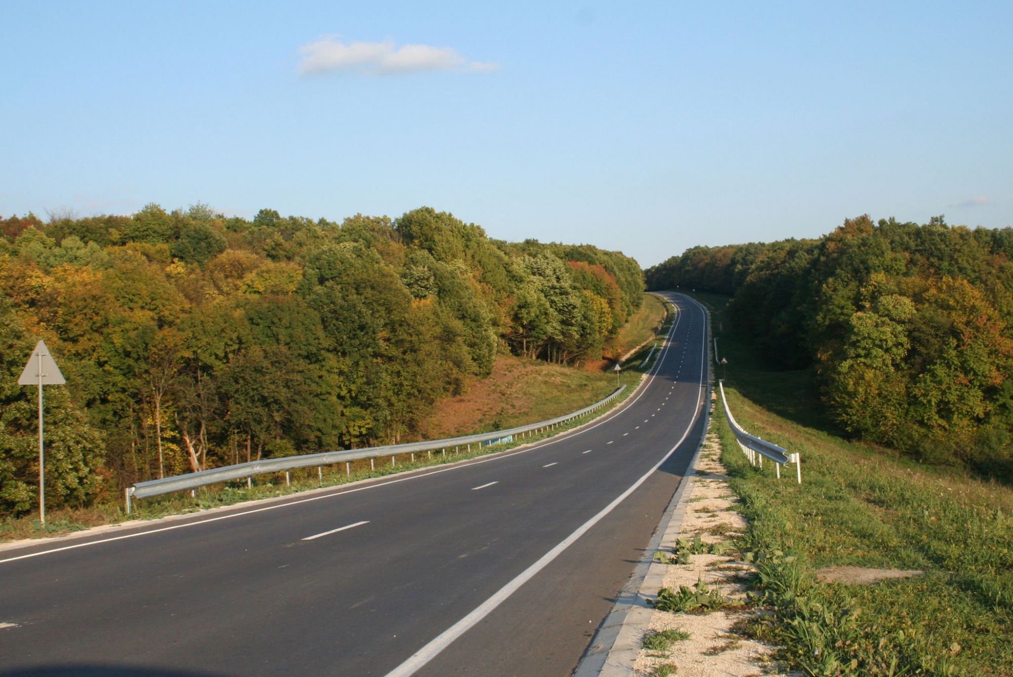 Псковская область получит дополнительно 250 млн рублей из федерального бюджета на развитие дорог