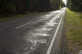 Только 29% региональных дорог Псковской области соответствуют нормативам - Михаил Ведерников