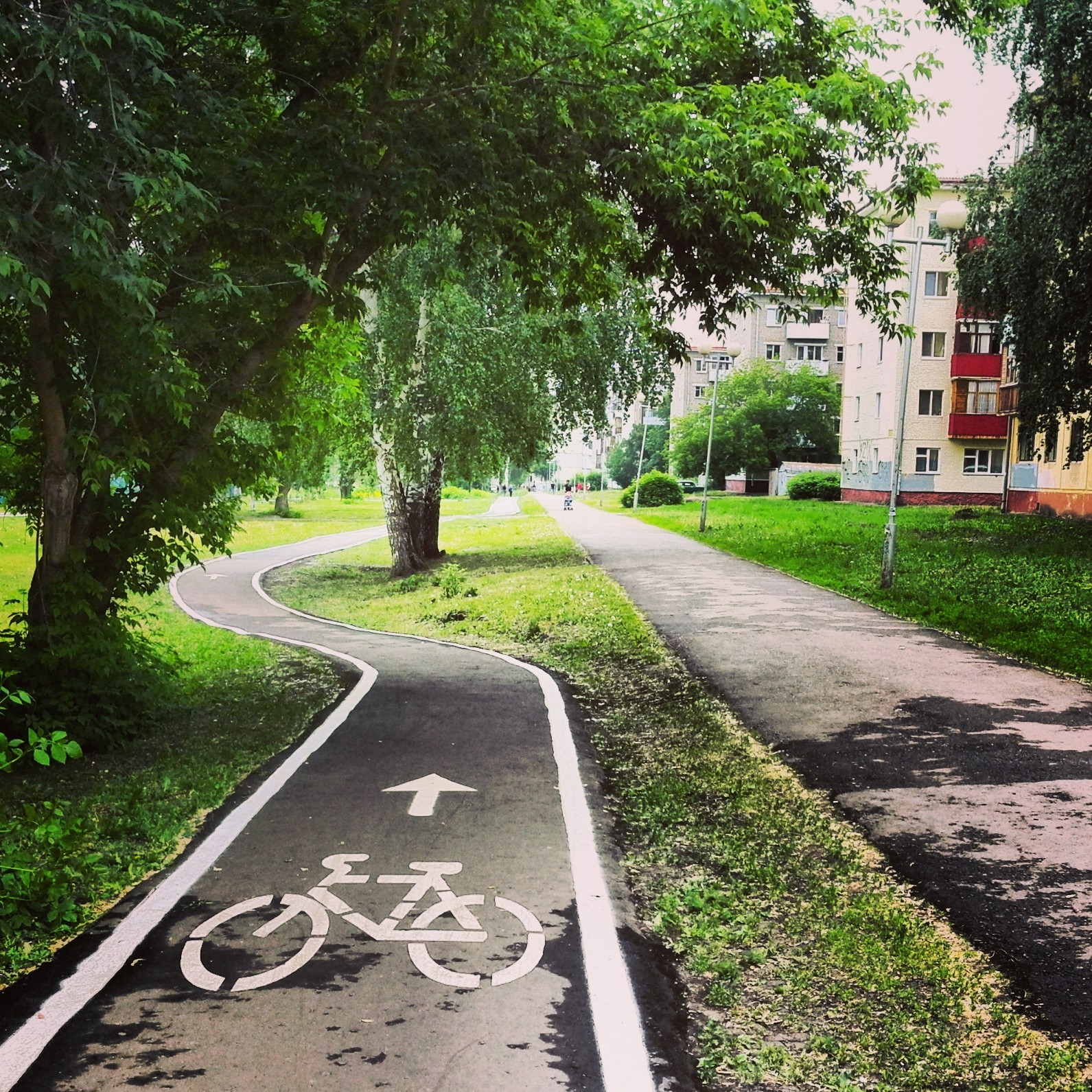 Министерство транспорта подготовило методические рекомендации по развитию сети велодорожек в городах